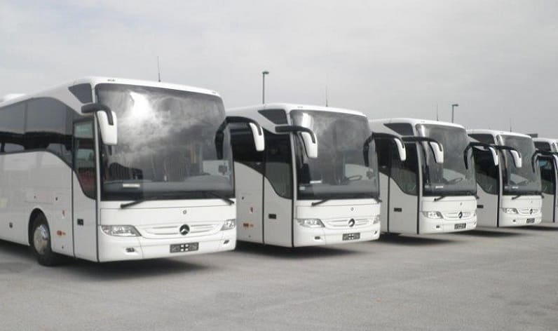Piedmont: Bus company in Novara in Novara and Italy