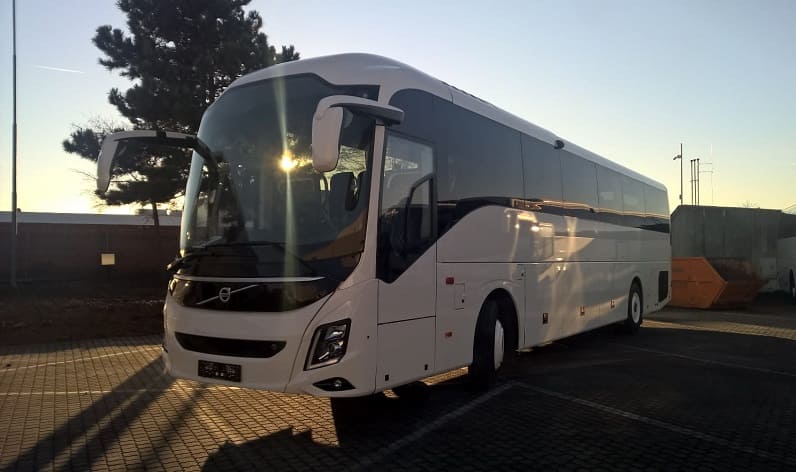 Piedmont: Bus hire in Alessandria in Alessandria and Italy